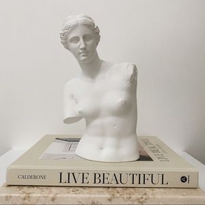 Goddess Venus de Milo White Bust Sculpture